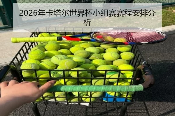 2026年卡塔尔世界杯小组赛赛程安排分析